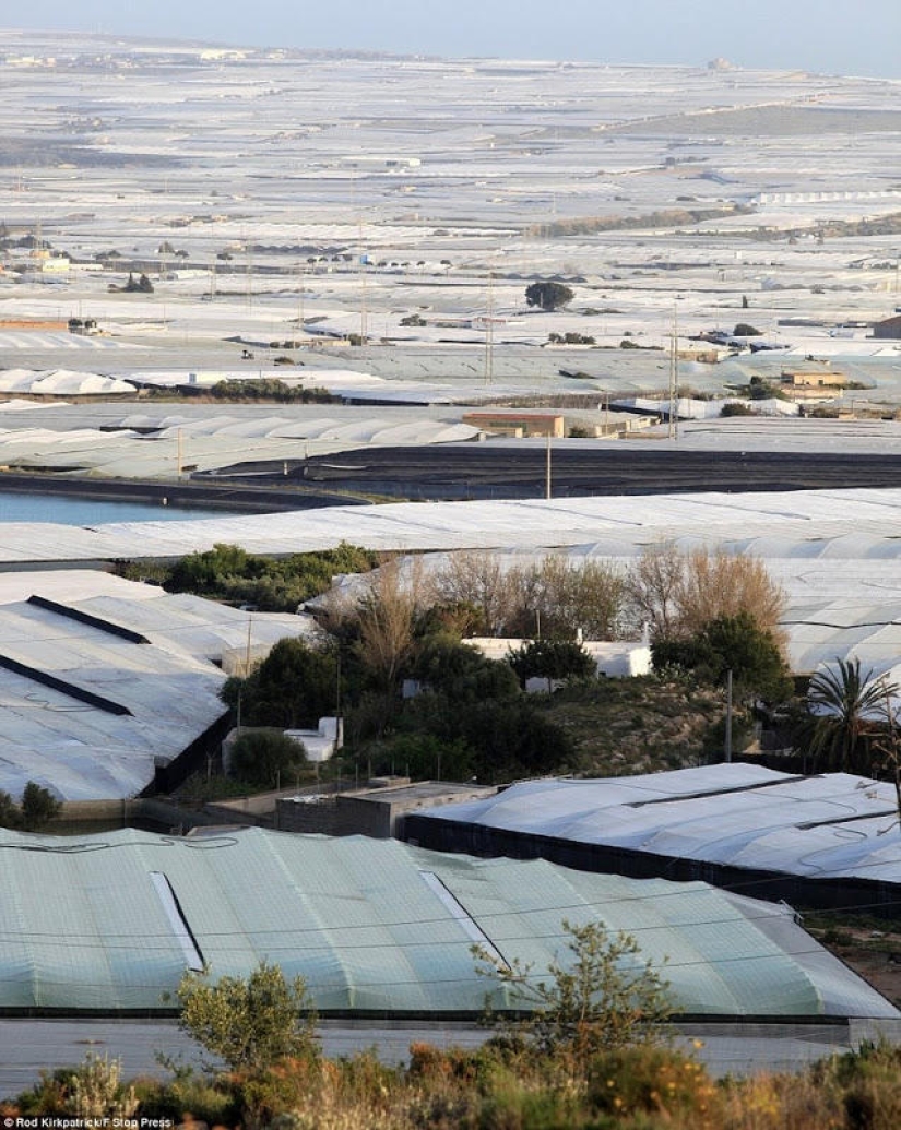 Los grandiosos invernaderos de Almería
