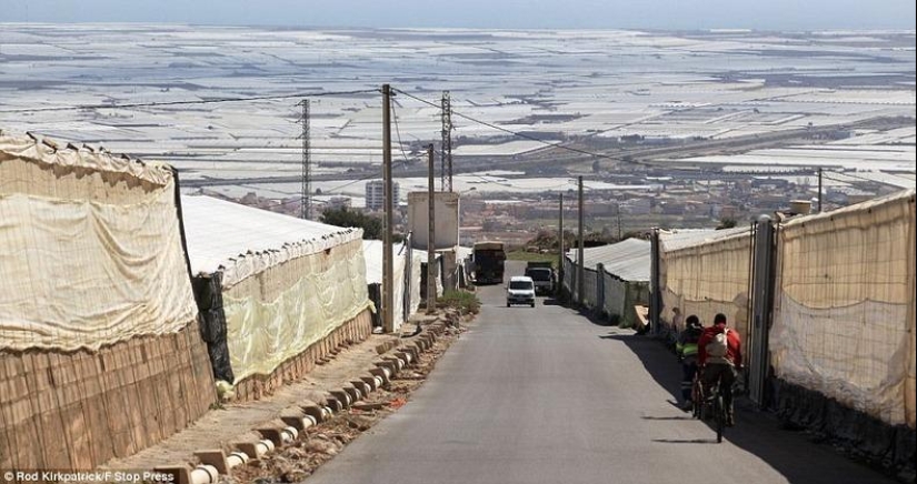 Los grandiosos invernaderos de Almería