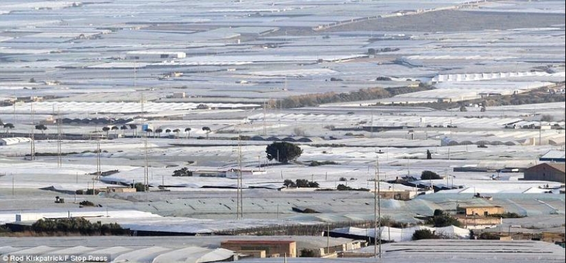 Los grandiosos invernaderos de Almería