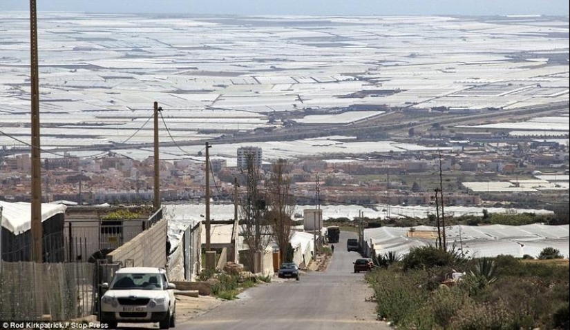 Los grandiosos invernaderos de Almería