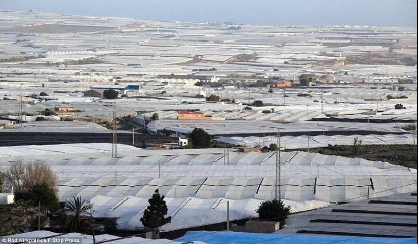 Los grandiosos invernaderos de Almería
