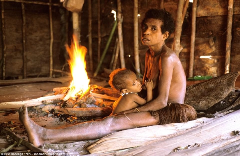 Los Korowai son una misteriosa tribu de caníbales que recientemente han aprendido sobre la civilización Los Korowai son una misteriosa tribu de caníbales que recientemente han aprendido sobre la civilización