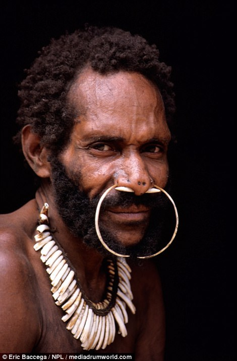 Los Korowai son una misteriosa tribu de caníbales que recientemente han aprendido sobre la civilización Los Korowai son una misteriosa tribu de caníbales que recientemente han aprendido sobre la civilización