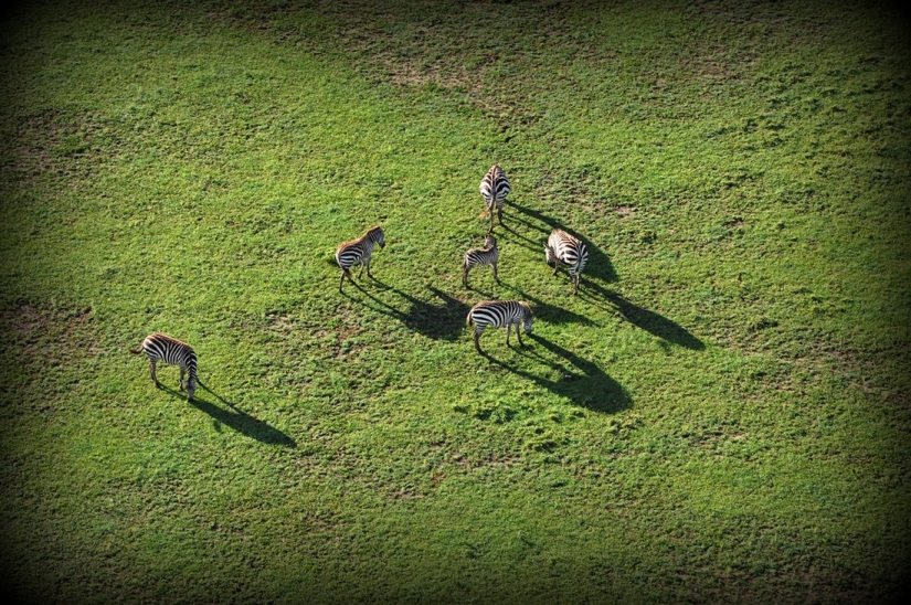 Los mejores destinos del mundo para paseos inolvidables en globo aerostático Los mejores destinos del mundo para paseos inolvidables en globo aerostático