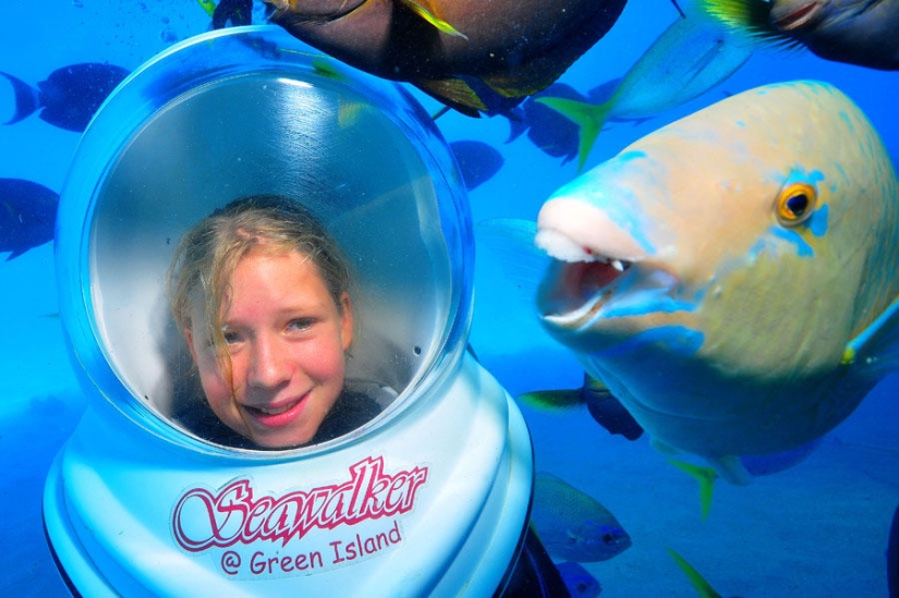 Los mejores photobombs de 2013