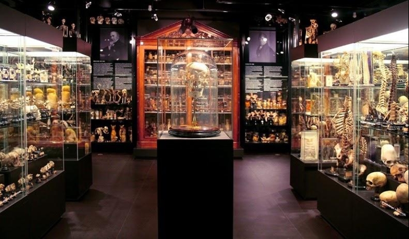 Los museos más insólitos de Ámsterdam