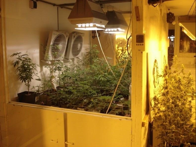 Los museos más insólitos de Ámsterdam