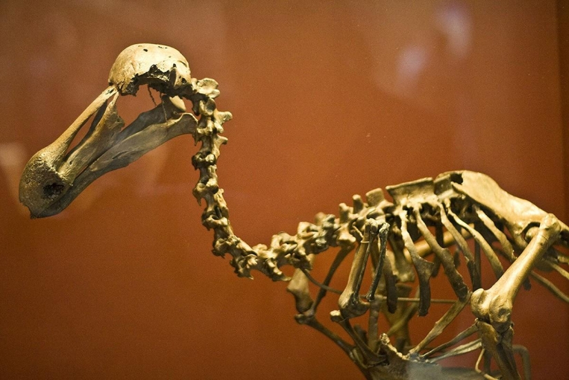 Los museos más interesantes de Londres