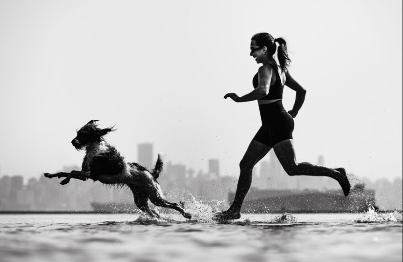 Los premios Dog Photography Awards 2023 han revelado a sus ganadores y finalistas Los premios Dog Photography Awards 2023 han revelado a sus ganadores y finalistas