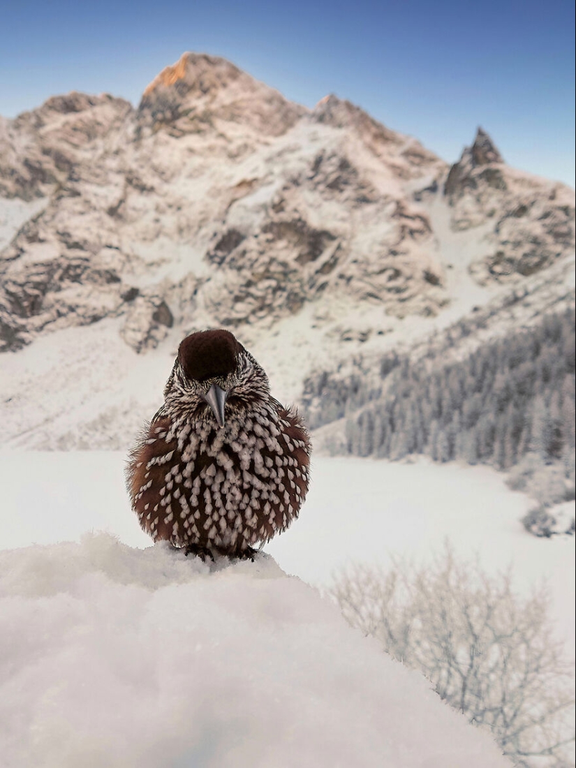 Los premios Mobile Photography Awards han anunciado sus mejores fotografías de todos los tiempos, y aquí están las 14