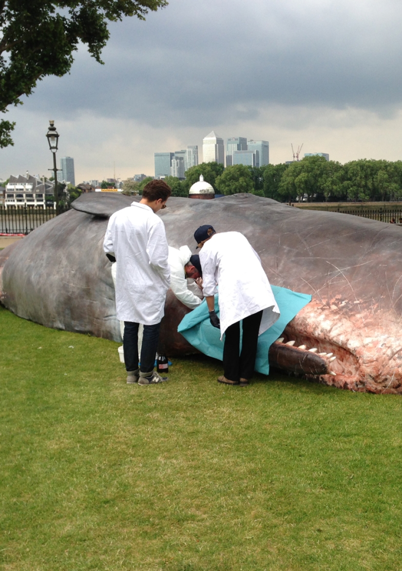 Los residentes de París encontraron una "ballena expulsada" en el terraplén del Sena Los residentes de París encontraron una "ballena expulsada" en el terraplén del Sena