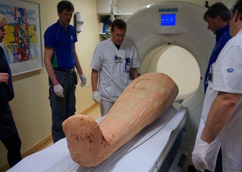 Los suecos devuelven la vida a las momias con tecnología digital Los suecos devuelven la vida a las momias con tecnología digital