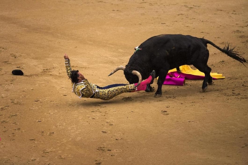 Los toros españoles obtienen una victoria histórica