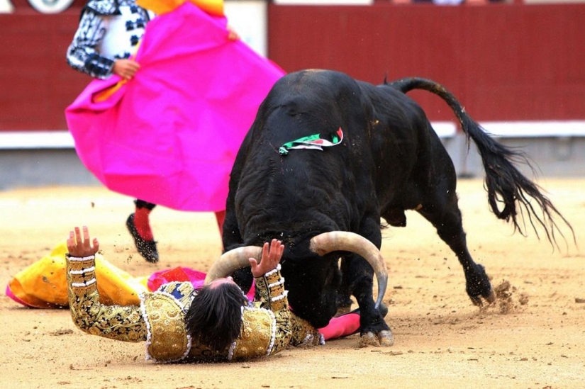 Los toros españoles obtienen una victoria histórica