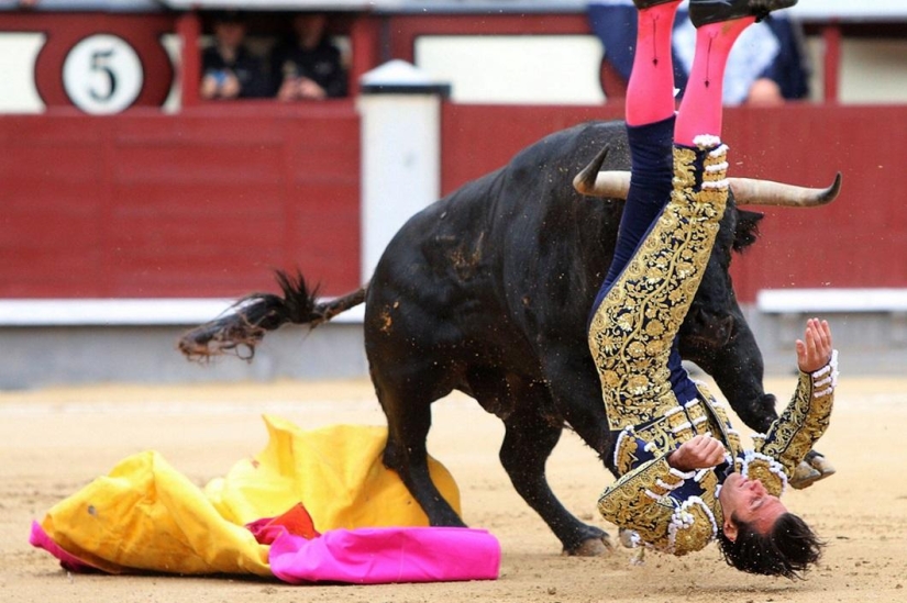 Los toros españoles obtienen una victoria histórica