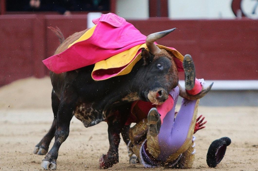Los toros españoles obtienen una victoria histórica