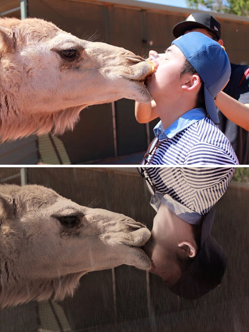 Los trolls coreanos de Photoshop son aún más insidiosos que los europeos