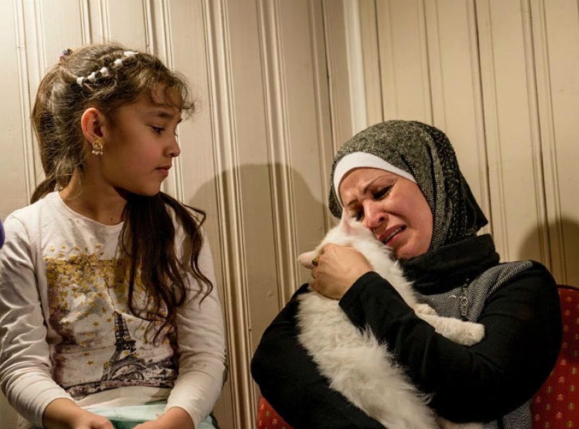 Lost cat returns to Iraqi refugee family after traveling halfway around the world Lost cat returns to Iraqi refugee family after traveling halfway around the world