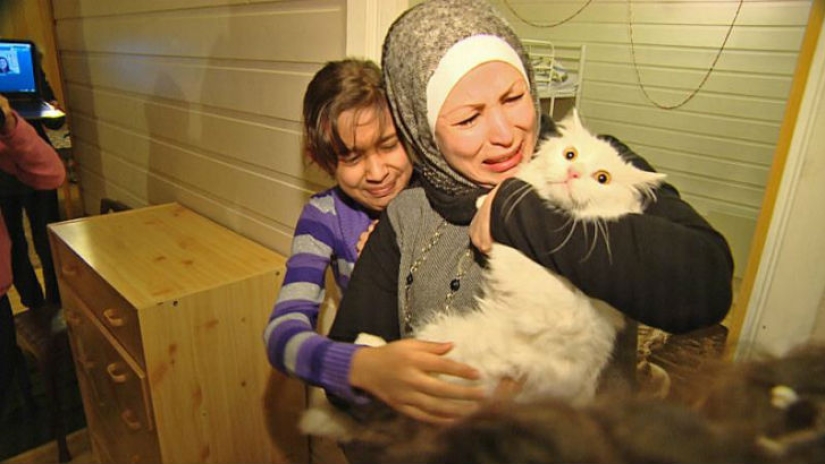 Lost cat returns to Iraqi refugee family after traveling halfway around the world Lost cat returns to Iraqi refugee family after traveling halfway around the world