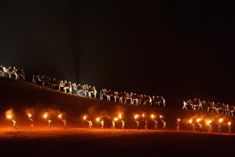 Loto en el desierto de Xiangshawan