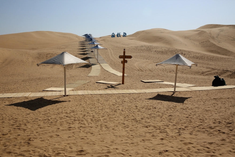 Loto en el desierto de Xiangshawan