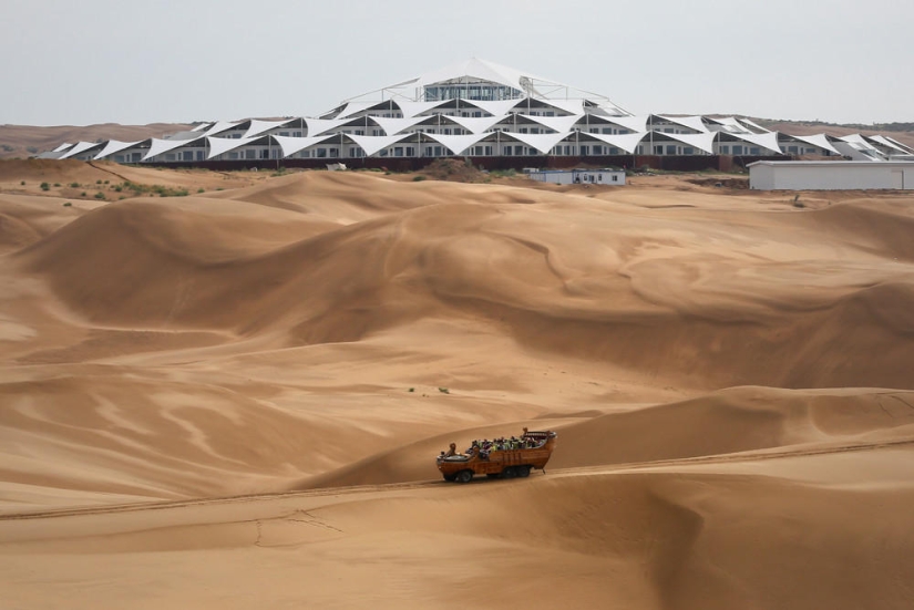 Loto en el desierto de Xiangshawan