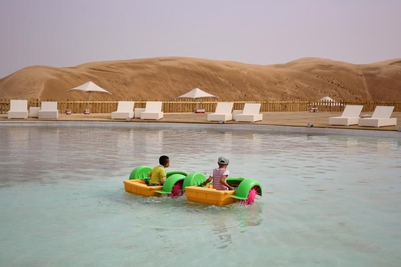 Lotus in the Xiangshawan Desert