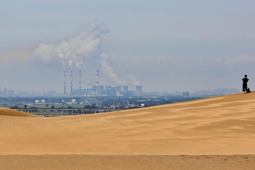 Lotus in the Xiangshawan Desert