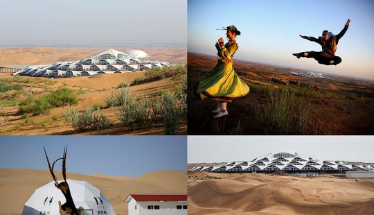 Lotus in the Xiangshawan Desert