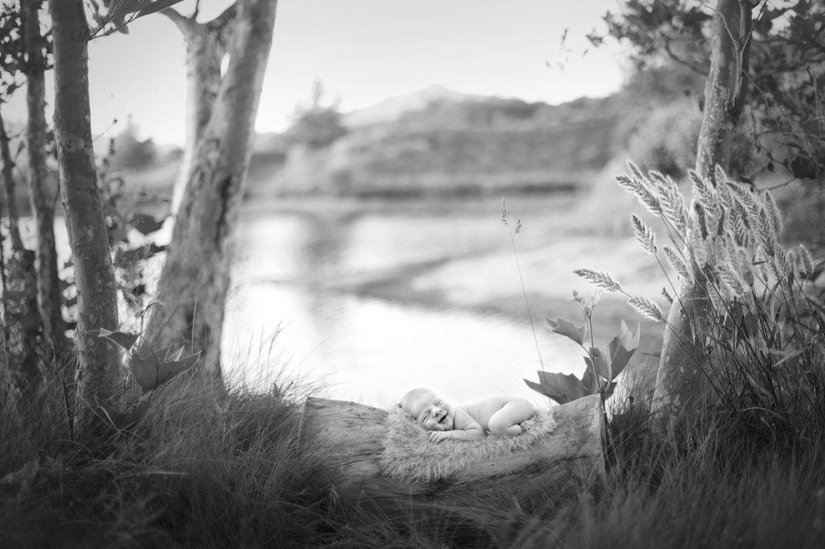 Lovely baby photos by Carrie Sandoval