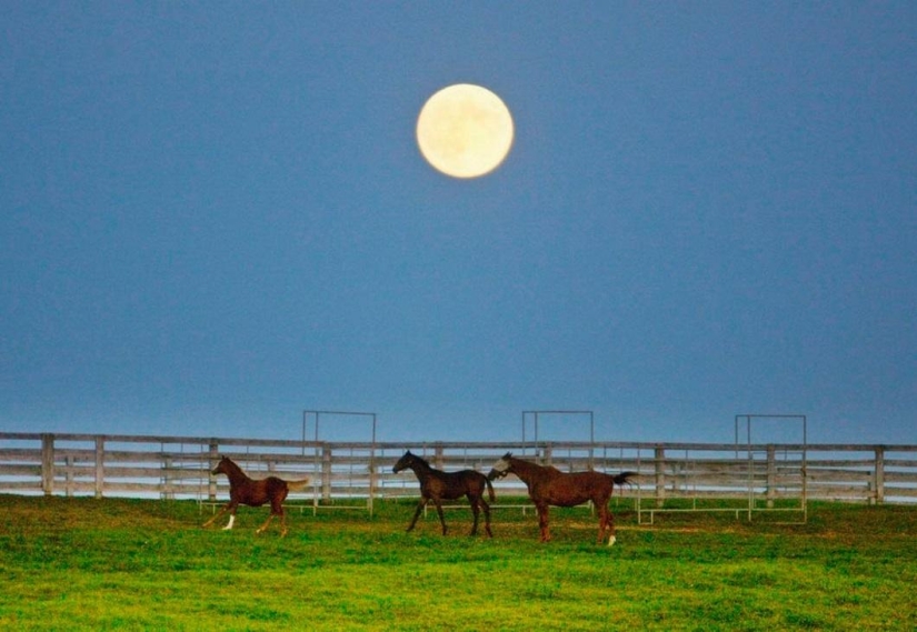 Última superluna de este año Última superluna de este año