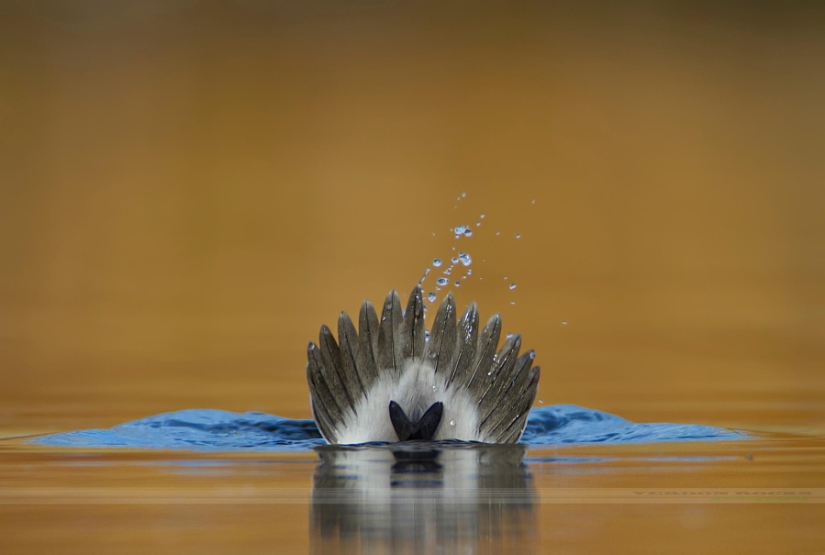 Lugar exacto, momento exacto Lugar exacto, momento exacto