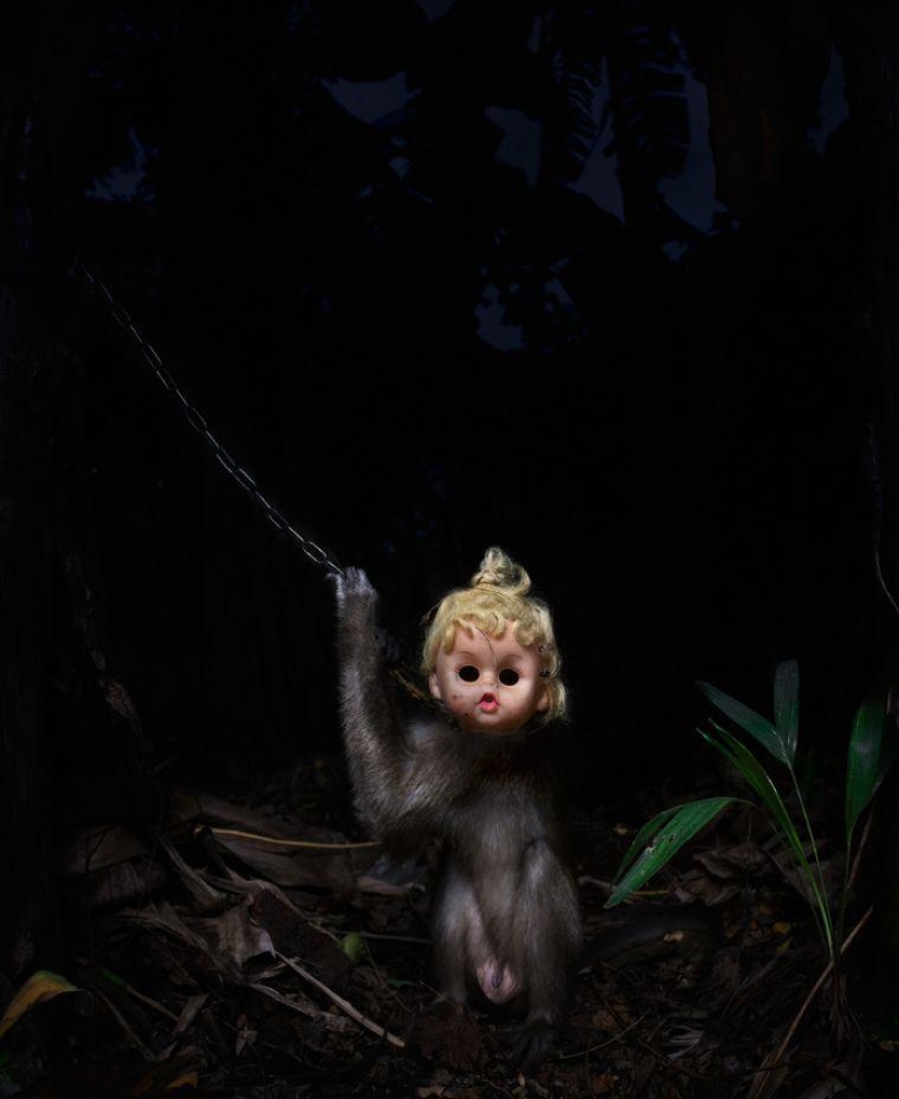 Macaques in masks - an eerie sight