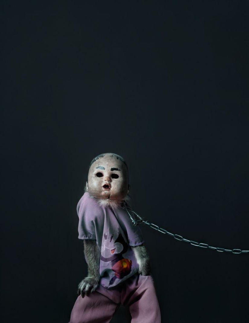 Macaques in masks - an eerie sight