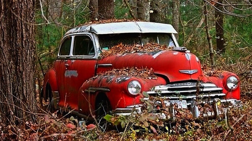 Machine, come on, goodbye