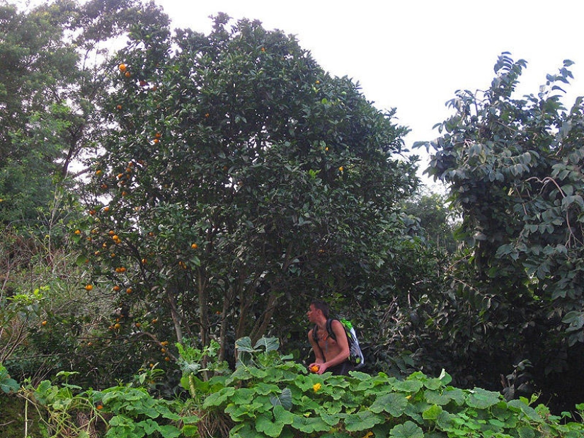 Madeira. Walk from Santana to Funchal Madeira. Walk from Santana to Funchal