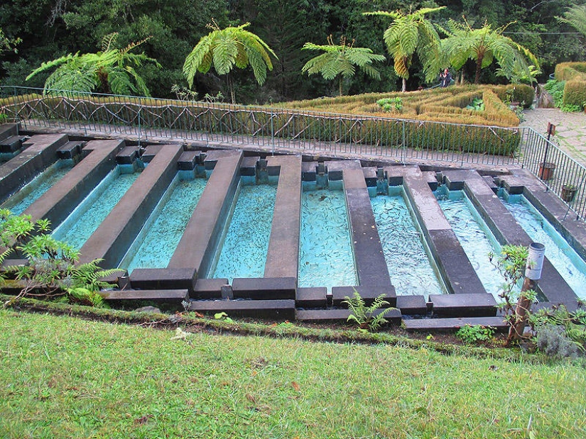 Madeira. Walk from Santana to Funchal Madeira. Walk from Santana to Funchal