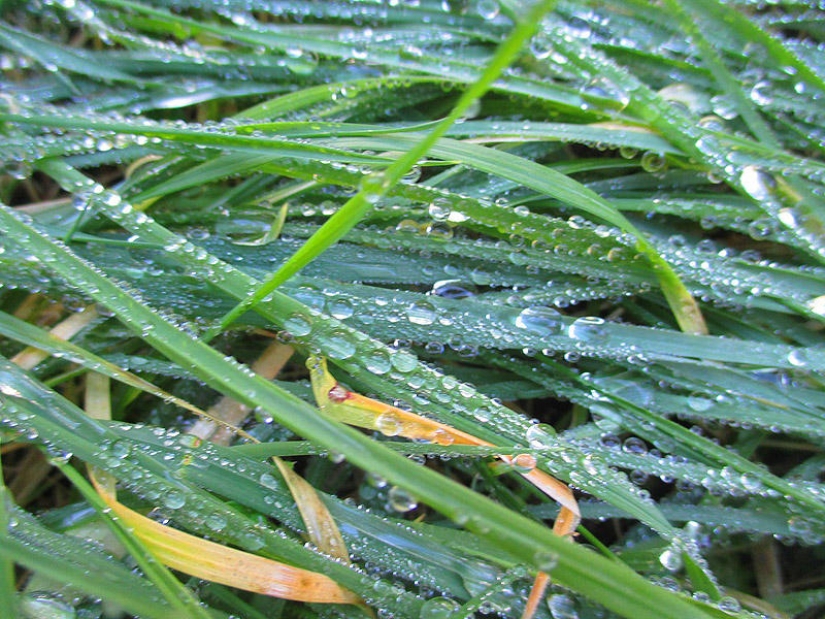 Madeira. Walk from Santana to Funchal Madeira. Walk from Santana to Funchal