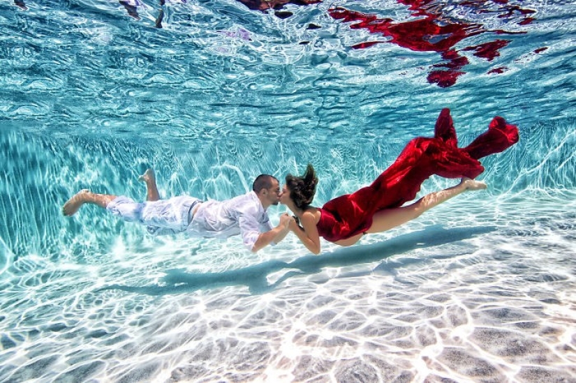Madres submarinas: fotos encantadoras del maestro estadounidense.