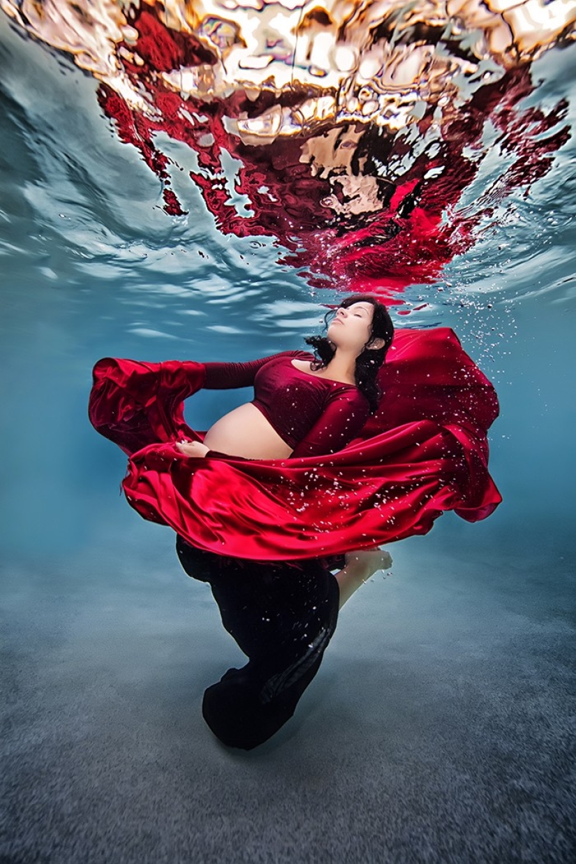 Madres submarinas: fotos encantadoras del maestro estadounidense.
