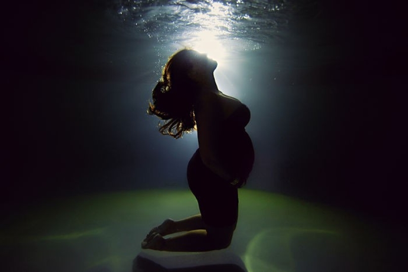 Madres submarinas: fotos encantadoras del maestro estadounidense.