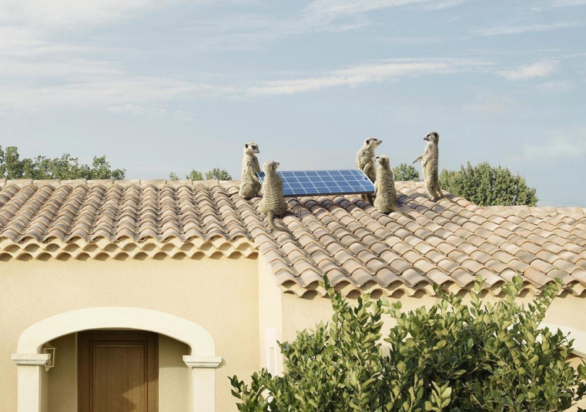 Maestro de retoque Christophe Hue (Parte 2) Maestro de retoque Christophe Hue (Parte 2)