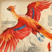 Magical illustrations of the Harry Potter books