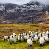 Magical Scotland at different times of the year