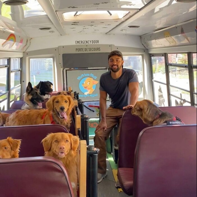Man Created A Dog School Bus That Takes Pups On Daily Joyrides Man Created A Dog School Bus That Takes Pups On Daily Joyrides