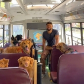 Man Created A Dog School Bus That Takes Pups On Daily Joyrides