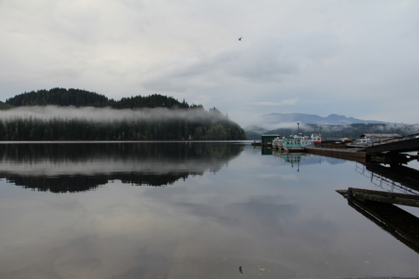 Mantente con vida a toda costa