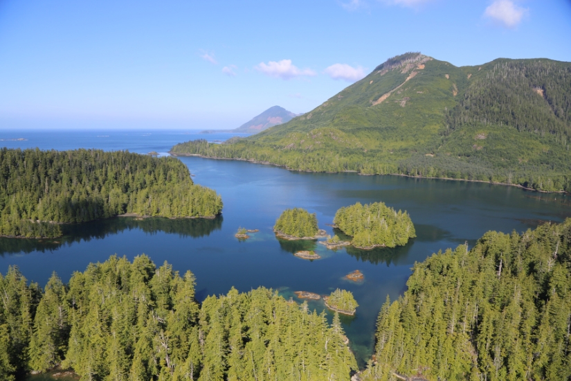 Mantente con vida a toda costa Mantente con vida a toda costa