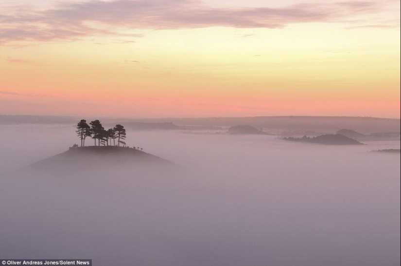 Manzana del manzano: el hijo del fotógrafo toma fotos increíbles Manzana del manzano: el hijo del fotógrafo toma fotos increíbles