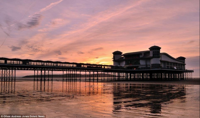 Manzana del manzano: el hijo del fotógrafo toma fotos increíbles Manzana del manzano: el hijo del fotógrafo toma fotos increíbles